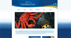 Desktop Screenshot of cisandina.com