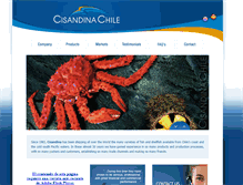 Tablet Screenshot of cisandina.com